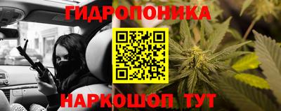 дживик Гусь-Хрустальный