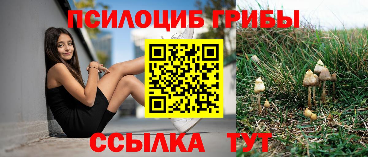 Псилоцибиновые грибы прущие грибы  Вход с VPN  Миасс 